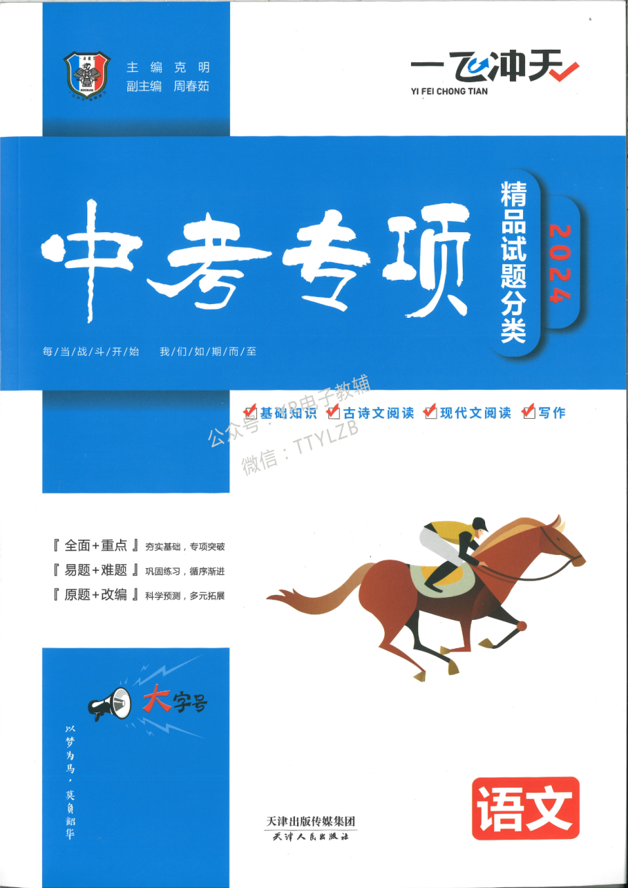 2024一飞冲天中考专项 语文 天津专版.pdf 第 1 页